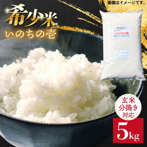 yӂ邳Ɣ[ŁzyāEΉzHiû̈v5kg s / ԕĎYZ^[    [ABB028]