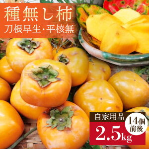 yӂ邳Ɣ[Łzy̎햳`zEj Ɨpi 2.5kg s / ԕĎYZ^[ ʕ H[ABB030] 6000~