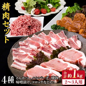 【ふるさと納税】糸島豚 精肉 セット 1,050g （ 2〜3人前 ・ 4種 ） 糸島市 / 糸島ミートデリ工房 [ACA200] 11000円 1万1千円