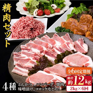 yӂ邳Ɣ[ŁzyS6ցzؓ  Zbg 2,090g i5`6lOE4j s / ~[gfH[ [ACA206]  98000~