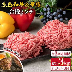 yӂ邳Ɣ[ŁzyS3ցza  ҃~` 500g×2p v1kg ~[gfH[ [ACA257] 29000~