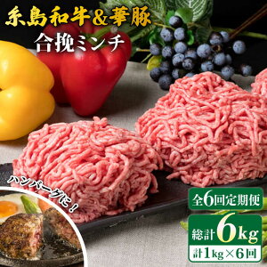 yӂ邳Ɣ[ŁzyS6ցza  ҃~` 500g×2p v1kg ~[gfH[ [ACA258] 58000~
