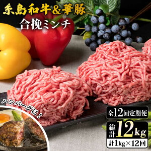 yӂ邳Ɣ[ŁzyS12ցza  ҃~` 500g×2p v1kg ~[gfH[ [ACA259] 115000~ 100000~ 10