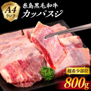 yӂ邳Ɣ[ŁzyA4Naz 󏭕 JbpXW 800g s / Ƃ܃~[gfH[ [ACA375] 12000~ 12~