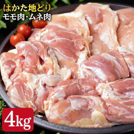 【ふるさと納税】はかた地どり もも肉 2kg & むね肉 2kg 合計4kg セット 糸島【糸島ミートデリ工房】 [ACA035] 28000円