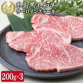 【ふるさと納税】A4ランク 糸島黒毛和牛 サーロインステーキ 200g×3枚 糸島ミートデリ工房 《糸島》【糸島ミートデリ工房】 [ACA059] 黒毛和牛 冷凍配送 36000円 3万6千円