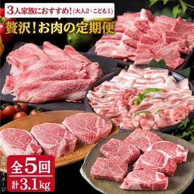 【ふるさと納税】【全5回定期便】贅沢！お肉の定期便 3人前 A4ランク 糸島黒毛和牛 糸島華豚 博多地どり セット (シャトーブリアン/牛ロース/牛ランプ/豚バラ/鶏むね) 計3.1kg 糸島 / 糸島ミートデリ工房 [ACA084] 200000円 20万円