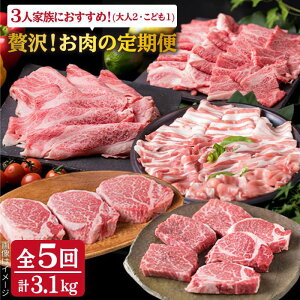 yӂ邳Ɣ[ŁzyS5ցzґI̒ 3lO A4N јa ؓ nǂ Zbg (Vg[uA/[X/v/؃o/{ނ) v3.1kg  / ~[