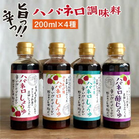 【ふるさと納税】 ハバネロ調味料 200ml 5本セット【シェフのごはんやさん四季彩】 いとしまごころ [ACC008] 19000円