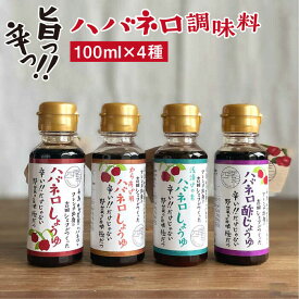 【ふるさと納税】 ハバネロ調味料 100ml 5本セット【シェフのごはんやさん四季彩】 いとしまごころ [ACC014] 14000円