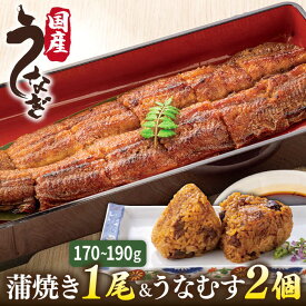 【ふるさと納税】蒲焼き 1尾 ＆ うなむす 2個 セット 糸島市 / 北ノ屋うなぎ [ACL006] うなぎ 国産 17000円