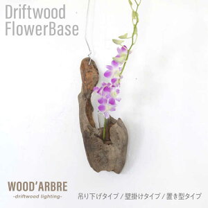 yӂ邳Ɣ[ŁzDriftwood FlowerBase ؈֑} t[x[X s / WOOD'ARBRE(Ebh)yTIMEz [ADC003] ԕr CeA G nhCh 18000~