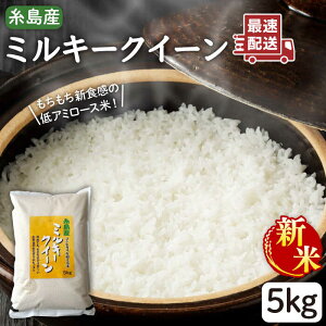 yӂ邳Ɣ[Łzyߘa7NYVāzyĕ@IׂIz~L[NC[ 5kg (1) s / āEĐX V@YX [ADE001] 퉷