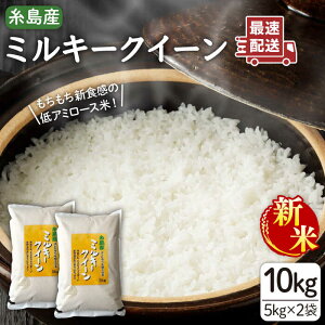 yӂ邳Ɣ[Łzyߘa7NYVāzyĕ@IׂIz~L[NC[ 10kg ( 5kg×2 ) s / āEĐX V@YX [ADE002]  10L 퉷