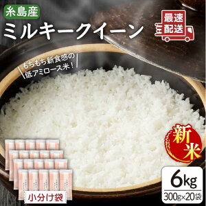 yӂ邳Ɣ[Łzyߘa7NYVāz~L[NC[ 2 × 20(v6kg) s / āEĐX V@YX [ADE018] 퉷   24000~ 24~