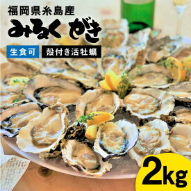 【ふるさと納税】みるくがき2kg（25個前後）◆生食可 から付き 活牡蠣 ≪糸島≫【豊久丸】ブランド/カキ/牡蛎 [AEJ004] 11000円