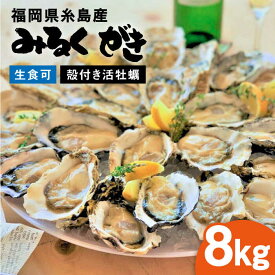 【ふるさと納税】みるくがき 8kg ◆生食可 殻付き 活牡蠣 ≪糸島≫【豊久丸】ブランド/カキ/牡蛎[AEJ007] 30000円 3万円