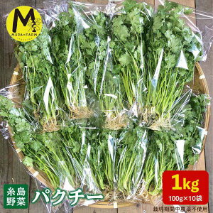 yӂ邳Ɣ[ŁzY pN`[ 1kg (100g×10) s / MURA FARM [AFD002] 14000~ 14~