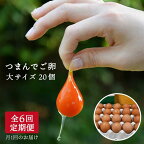 プリップリの卵が毎月届く！全6回 つまんでご卵 20個セット定期便(月1回) 糸島市 / 緑の農園 [AGA009] 58000円