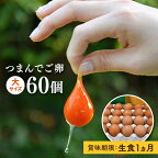 プリップリな卵黄！つまんでご卵 60個セット 糸島市 / 緑の農園 [AGA012] たまご 卵 平飼い 18000円