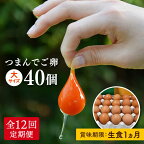 プリップリの卵が毎月届く！全12回 つまんでご卵40個セット定期便 糸島市 / 緑の農園 [AGA014] たまご 卵 平飼い 166000円 100000円 10万