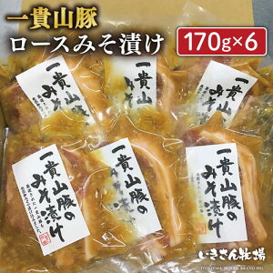 yӂ邳Ɣ[ŁzтƂ̑QI MR [X XЂ 6 s / q [AGB006] 15000~  ؓ