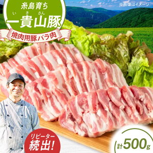 yӂ邳Ɣ[ŁzMR ēpo v500g(250g×2p) s / q ؓ [AGB034]