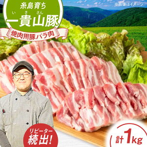 yӂ邳Ɣ[ŁzMR ēpo v1kg(250g×4p) s / q ؓ [AGB035]