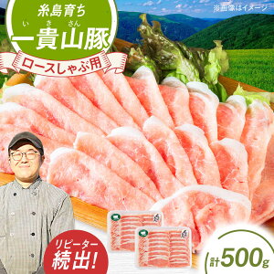 yӂ邳Ɣ[ŁzMR [Xԗp v500g(250g×2p) s / q ؓ [AGB044]