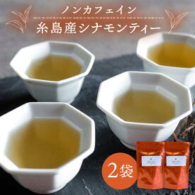 【ふるさと納税】シナモンティー 2袋 糸島産シナモンリーフ100%使用【泉屋六治】 いとしまごころ [AGC001] 常温 5000円 5千円