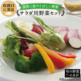 【ふるさと納税】朝採れ！【 栽培 期間中、 農薬・化学肥料不使用 】 サラダ用 糸島 野菜 セット 《糸島》【オーガニックナガミツファーム】 [AGE002] 15000円 1万5千円