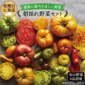 【ふるさと納税】朝採れ！ 糸島 野菜 セット （ 8品 前後 ） 《糸島》【オーガニックナガミツファーム】 [AGE003] 12000円 1万2千円