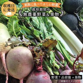 【ふるさと納税】朝採れ！ 栽培期間中無農薬野菜 （ 7品 前後 ） セット ＋ 果物 《糸島》【オーガニックナガミツファーム】 [AGE004] 12000円 1万2千円