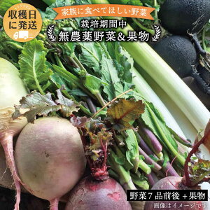 yӂ邳Ɣ[ŁẑI ͔|Ԓ_ i 7i O j Zbg { ʕ styI[KjbNiK~ct@[z [AGE004] 12000~ 12~