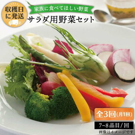 【ふるさと納税】【 全3回 定期便 】【 福岡県 糸島産 】 朝採れ サラダ用 野菜 セット 《糸島》【オーガニックナガミツファーム】 [AGE005] 43000円 4万3千円