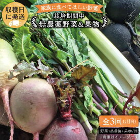 【ふるさと納税】【 全3回 定期便 】 こだわり 野菜 ( 7品 前後 ) セット ＋ 果物 《糸島》【オーガニックナガミツファーム】 [AGE007] 35000円 3万5千円