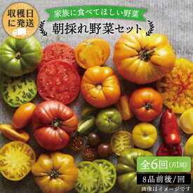 【ふるさと納税】【 全6回 定期便 】 【 福岡県 糸島産 】 朝採れ 野菜 セット ( 8品 前後 ) 《糸島》【オーガニックナガミツファーム】 [AGE009] 86000円 8万6千円