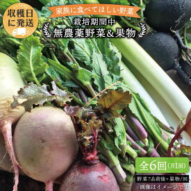 【ふるさと納税】【 全6回 定期便 】 こだわり 野菜 （ 7品 前後 ） セット ＋ 果物 《糸島》【オーガニックナガミツファーム】 [AGE010] 69000円 6万9千円