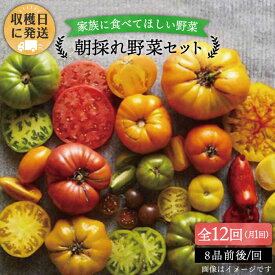 【ふるさと納税】【全12回定期便】【福岡県糸島産】朝採れ 野菜 セット (8品前後) 《糸島》【オーガニックナガミツファーム】[AGE012] 137000円 13万7千円