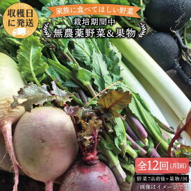【ふるさと納税】【全12回定期便】こだわり 野菜 （7品前後） セット ＋ 果物 《糸島》【 オーガニックナガミツファーム】[AGE013] 137000円 13万7千円