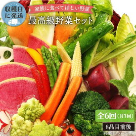 【ふるさと納税】【 全6回 定期便 】【 農薬・化学肥料 不使用 】こだわり 高級希少野菜 セット （ 7品 前後 ） 《糸島》【オーガニックナガミツファーム】 [AGE017] 160000円 16万円