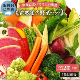 【ふるさと納税】【 全12回 定期便 】【 農薬・化学肥料 不使用 】こだわり 高級希少野菜 セット （ 7品 前後 ） 《糸島》【オーガニックナガミツファーム】 [AGE018] 320000円 32万円
