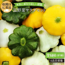 【ふるさと納税】【全6回定期便】☆畑直送☆【福岡県糸島産】朝獲れ＊温野菜サラダセット（電子レンジでチンするだけ！）_オーガニックナガミツファーム [AGE020] 70000円 7万円