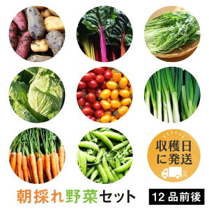 yӂ邳Ɣ[Łzy  Y z ̂  Zbg i 12i O j styI[KjbNiK~ct@[z [AGE023] 16000~ 16~