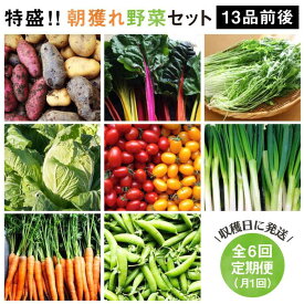 【ふるさと納税】【 全6回 定期便 】【 福岡県 糸島産 】 朝採れ 野菜 セット （ 12品 前後 ） 《糸島》【オーガニックナガミツファーム】 [AGE025] 95000円 9万5千円