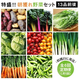 【ふるさと納税】【全6回定期便】☆畑直送☆ 福岡県糸島産 朝採れ野菜セット（13品前後）オーガニックナガミツファーム [AGE025] 93000円