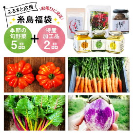 【ふるさと納税】【 糸島 の 福袋 ！ 】朝採り オーガニック 旬 野菜 お任せ 5品 ＋ 糸島産 大ヒット 特産 加工品 2品 のセット《糸島》【オーガニックナガミツファーム】 [AGE028] 15000円 1万5千円
