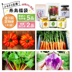 【ふるさと納税】【 全3回 定期便 】朝採り オーガニック 旬 野菜 お任せ 5品 ＋ 糸島産 大ヒット 特産 加工品 2品 のセット《糸島》【オーガニックナガミツファーム】[AGE029] 45000円 4万5千円