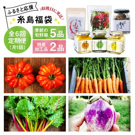 【ふるさと納税】【 全6回 定期便】 朝採り オーガニック 旬 野菜 お任せ 5品 ＋ 糸島産 大ヒット 特産 加工品 2品 のセット《糸島》【オーガニックナガミツファーム】 [AGE030] 89000円 8万9千円