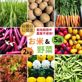 【ふるさと納税】【☆畑直送☆栽培期間中農薬不使用！】お 米 2kg & 野菜 5品 の セット 糸島市 / オーガニックナガミツファーム [AGE035] 18000円 1万8千円